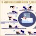 Yoga relaxant avant d'aller au lit : exemples de séries d'exercices Gymnastique pour les paresseux