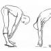 How to treat the spine with the help of physical education: Amosov’s exercises Amosov’s exercises for the spine